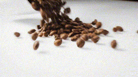 gif description