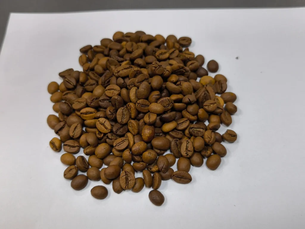 روبوستا اندونزی